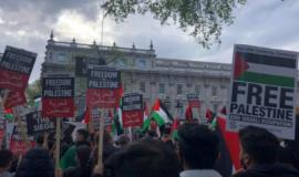 thumb_307626_700_400_0_0_exact