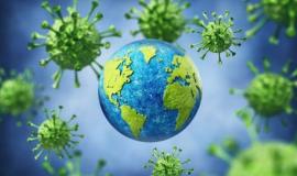 0590c9048b278f794e10fe0b1180517f