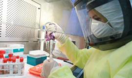 421244a5c5163a39c991b983f5c971e8