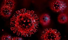 untitl6jq46j6jq46jw56j6jed-1