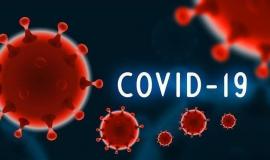 thumbs_b_c_6c17767793c59119dae7c70804f9f972