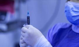 thumb_294243_700_400_0_0_exact