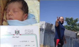 المولود سيف