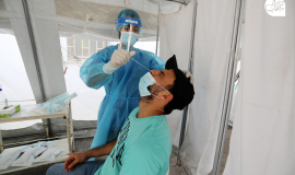 كورونا فلسطين