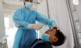 كورونا فلسطين