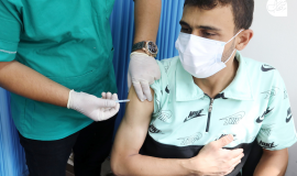 كورونا فلسطين