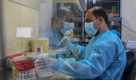 فحص عينات كورونا في المختبر المركزي بغزة