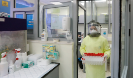 فحص عينات كورونا في المختبر المركزي