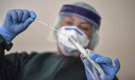 كورونا فلسطين