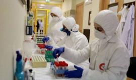 كورونا فلسطين