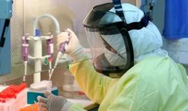 فحص عينات كورونا في المختبر المركزي