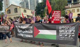 فلسطينيون يتظاهرون في تل أبيب تنديدا بالعدوان على غزة