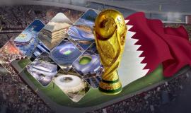 ملاعب كأس العالم