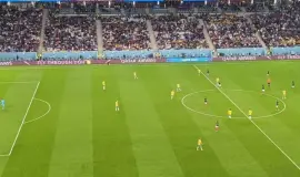 تواجد 12 لاعبا لأستراليا