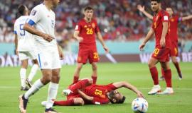 لاعبو إسبانيا