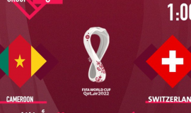 الكاميرون وسويسرا