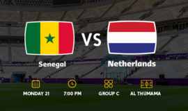 هولندا ضد السنغال