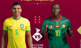 الكاميرون ضد البرازيل