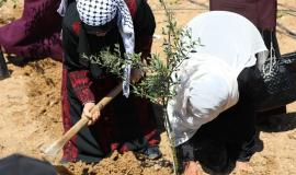 جانب من الفعالية