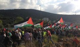 فعاليات يوم الأرض بالداخل المحتل