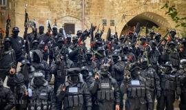 مجموعات عرين الأسود - أرشيفية -