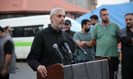 سلامة معروف