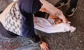 حرب الإبادة مستمرة على القطاع لليوم الـ 262