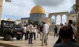 مئات المستوطنين يقتحمون الأقصى بـ"البواكير"