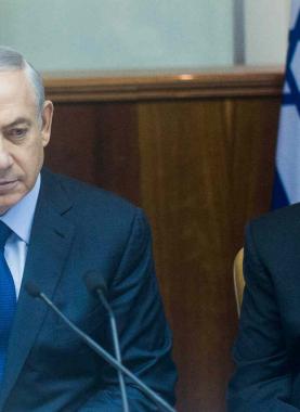 cat56386_img67287793