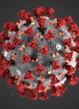 كورونا