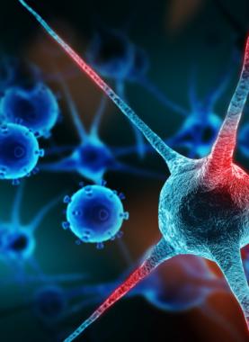 السرطان-والبيئة-الحافزة-١