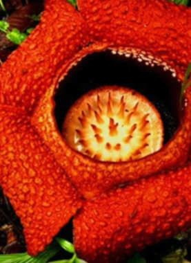 5e16f1704c59b756193f9afc