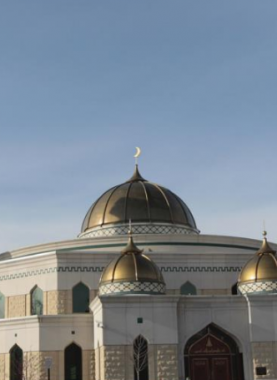 سيبسيبسيؤءرءؤ