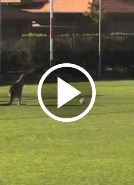 69153215-5193-4b87-a0a8-62b7ae635e69 copy