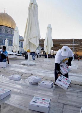 33601750_10214537021561464_3150398618020610048_n