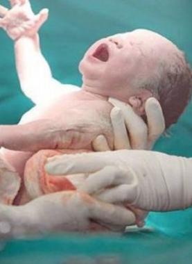 a875327a-fe56-4b1e-afeb-0faf7d9206c0