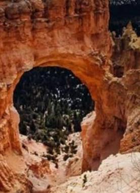 medium_2020-11-24-6f259965fc