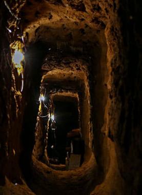 117038385_593218001563886_2803639307073648361_n