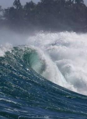 2456_1_1_251076_large