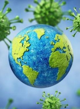 _117652250_18622f5f-6fbf-495e-82ea-3962b19ecaa9