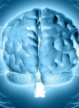 135-204832-corona-world-virus-the-brain_700x400