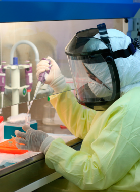 c152c147-1c51-4f66-989a-19105a61b55b