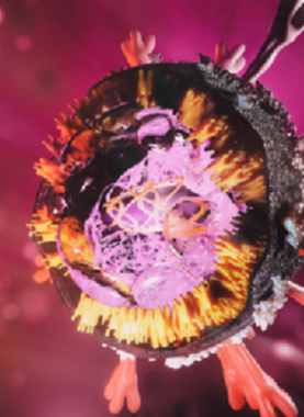 5f845f5c42360420d0358ad6