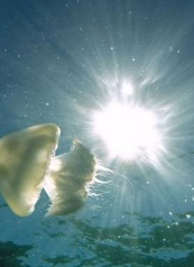 _96736556_gettyimages-657701582-1