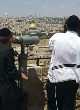 3bdf7cfb-15c4-443c-b83c-a7bbab0d31d7