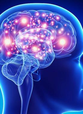 dt_141007_brain_active_stimulation_800x600