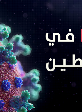 كورونا فلسطين