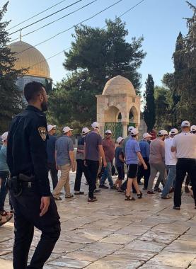 مستوطنون يقتحمون المسجد الأقصى - أرشيفية -