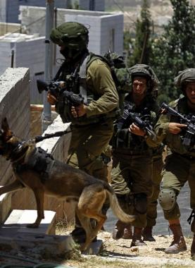 قوات الاحتلال