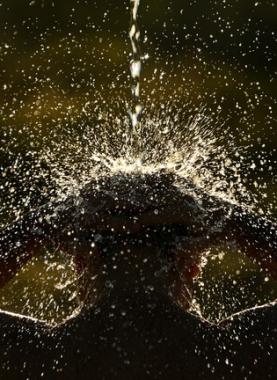 وسائل إعلام: أكثر من نصف الألمان بدأوا يقللون من عدد مرات الاستحمام